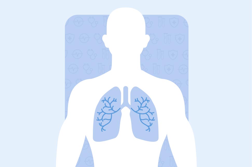 pulmones